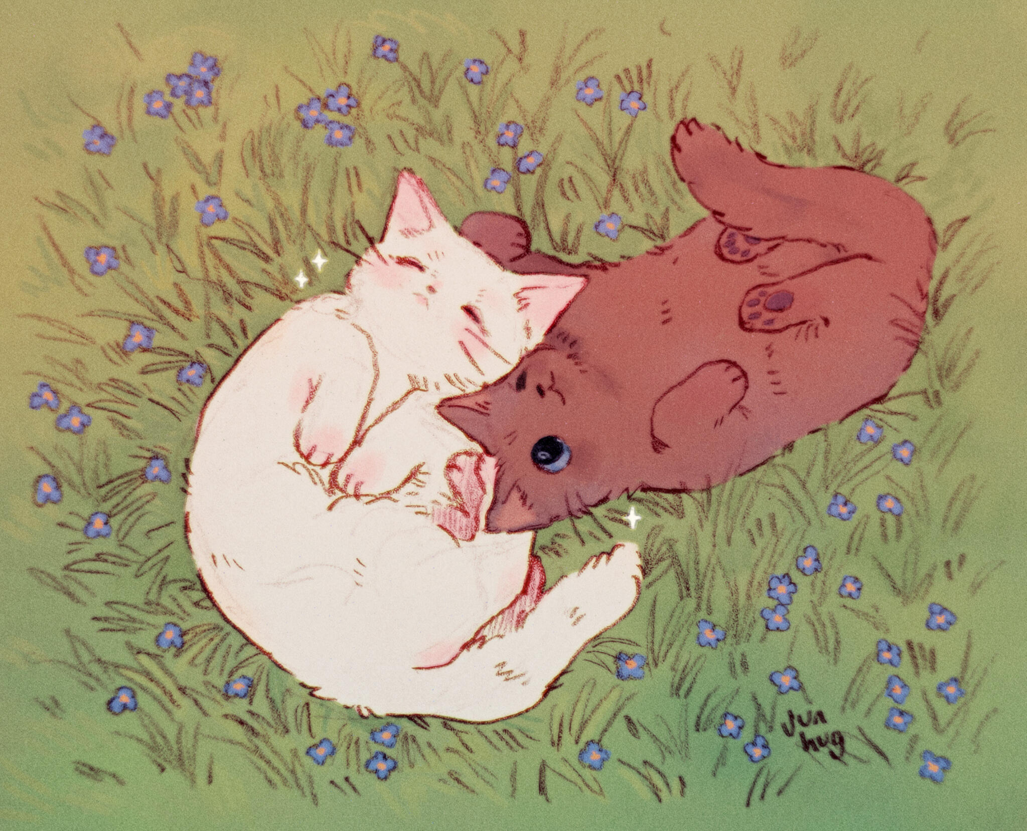 Gwiazdka and Słoneczko