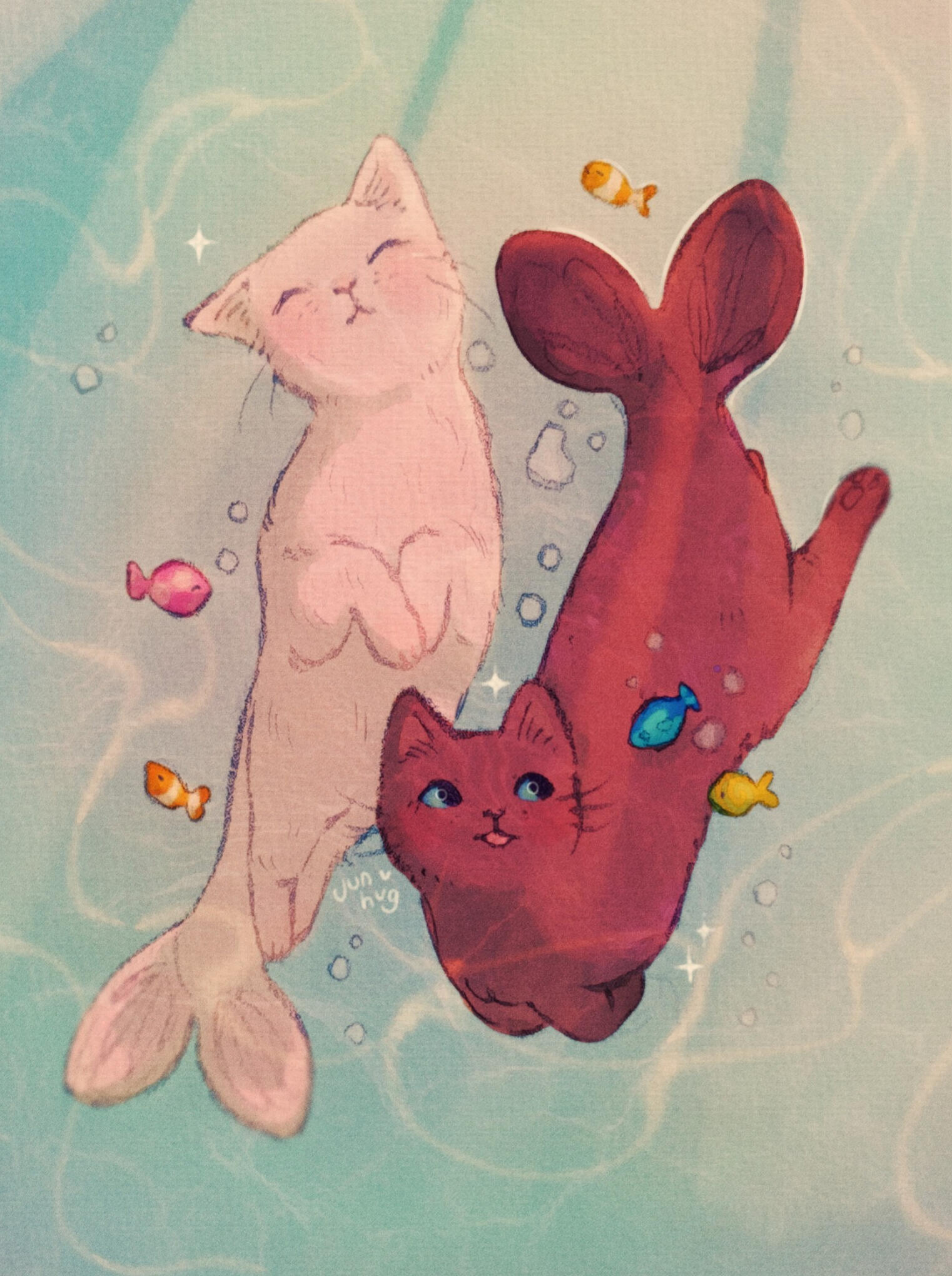 Aqua cats