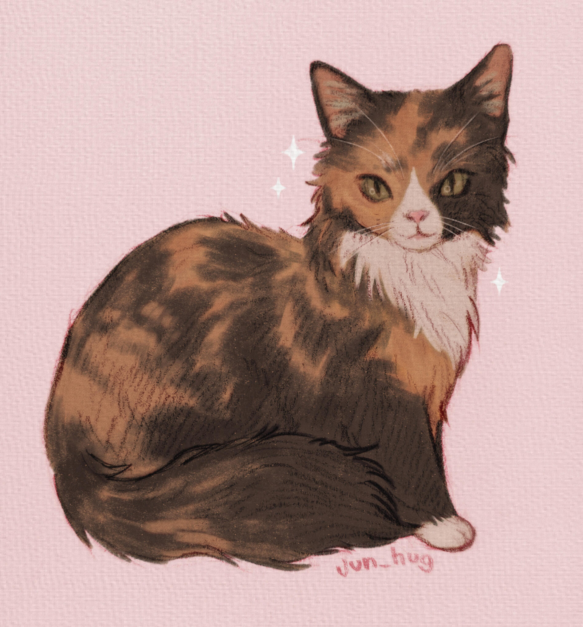 cat commission